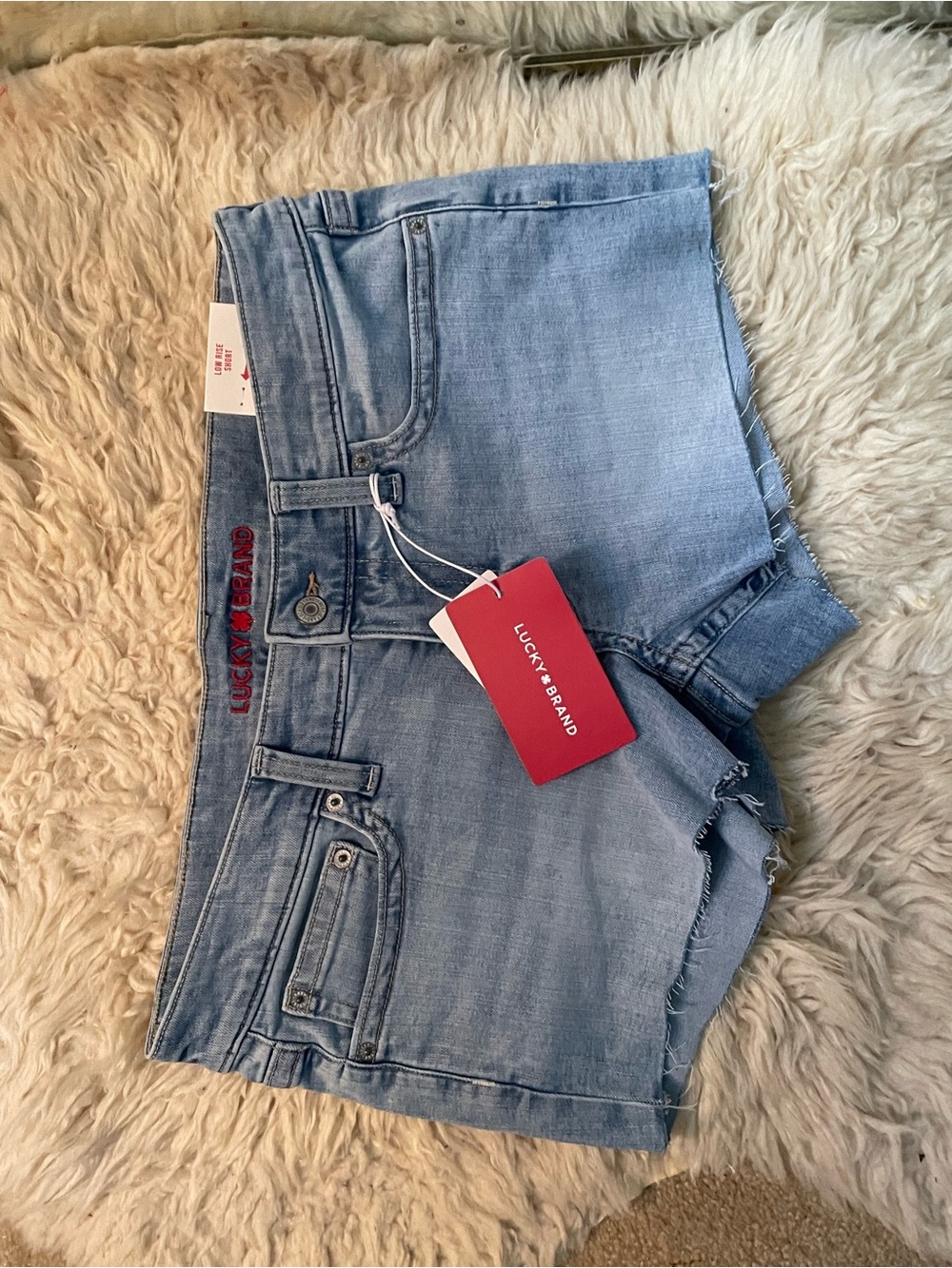 Y2K Lucky Brand Low Rise Shorts